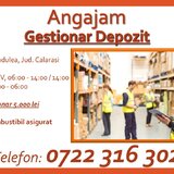 Gestionar Depozit